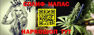 крисы Камышлов