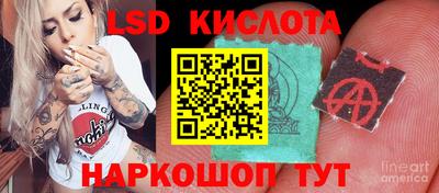 крисы Камышлов
