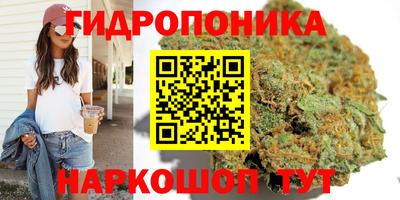 PSILOCYBIN Канаш