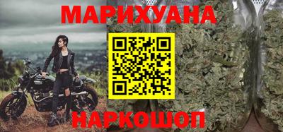 крисы Камышлов
