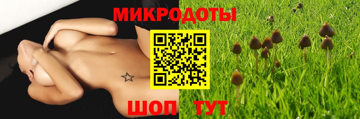 Дзержинский  Псилоцибиновые грибы Psilocybe  Вход с VPN  Галлюциногенные грибы прущие грибы 